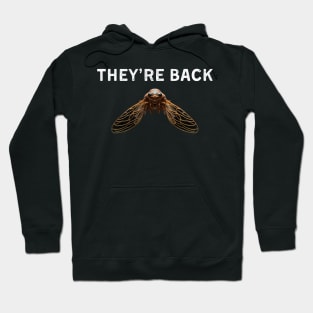 They're Back Cicada Invasion 2024 Cicada Brood Cicada Nymph Hoodie